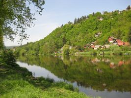 Berounka 2 - u Všenorských tůní 6.5.11.jpg